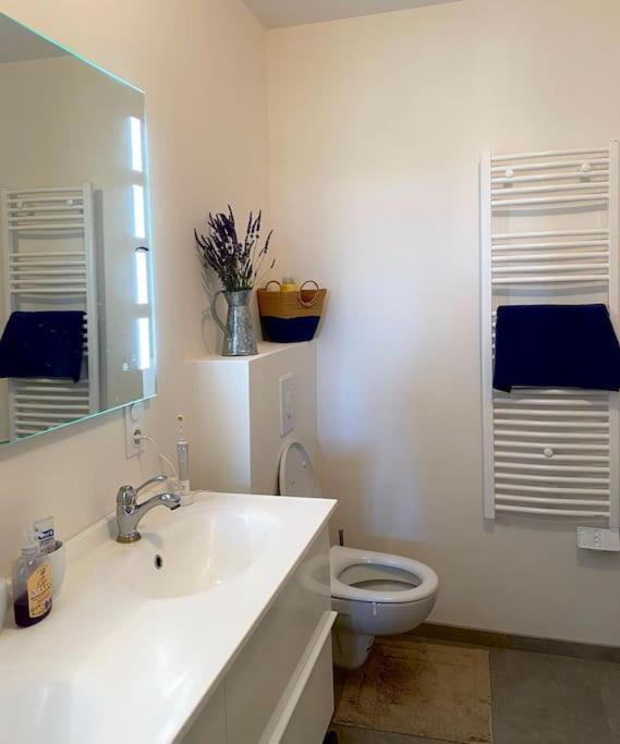 蒙布舍叙尔雅布龙Peaceful Retreat In Drome Provencale Castel公寓 外观 照片
